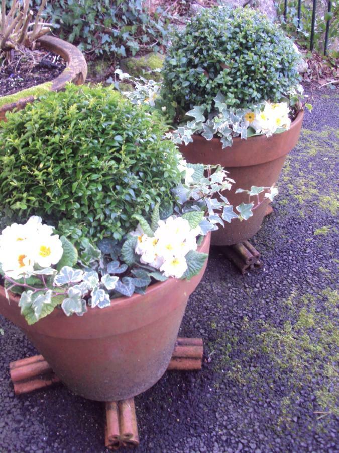 Woodlands Bed and Breakfast Looe Exteriör bild